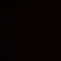 National Association of Black Physical Therapists (NABPT)